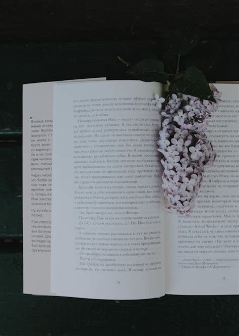 Flowers on an Open Book · Free Stock Photo