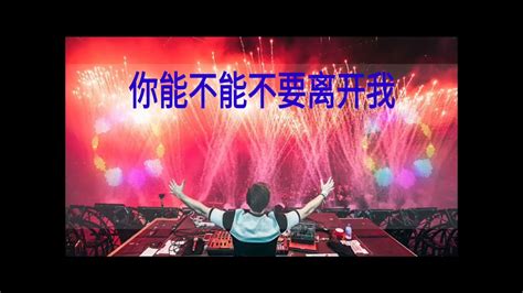 你能不能不要离开我 Nǐ Néng Bùnéng Bùyào Líkāi Wǒ Remix Youtube