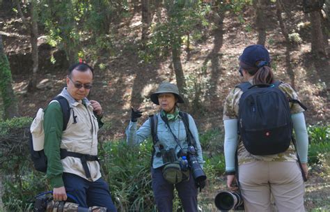 Bird Watching In Chitwan | Nepal Dynamic Eco Tours