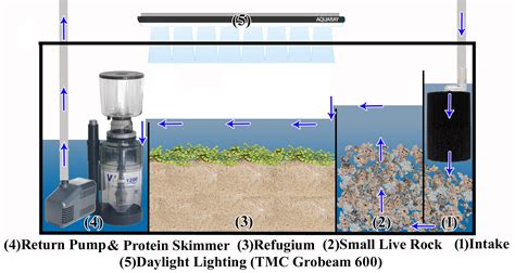 Aquarium Filtration Filter Types Advantages Disadvantages