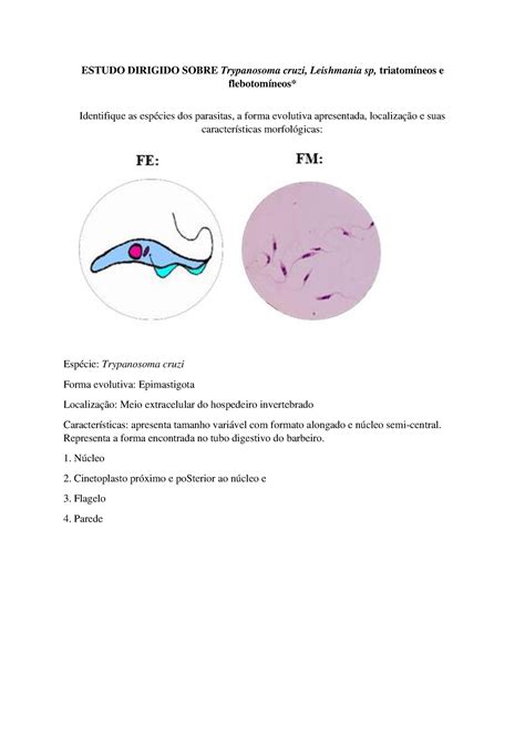 Estudo Dirigido Sobre Trypanosoma Cruzi Leishmania Sp Triatom Neos E