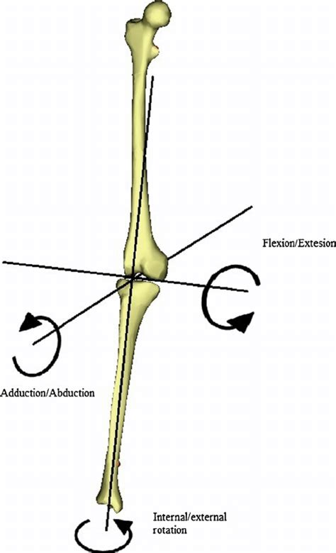 Knee Rotation Axes Download Scientific Diagram