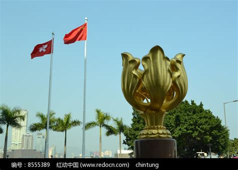 香港紫荆花广场高清图片下载红动中国