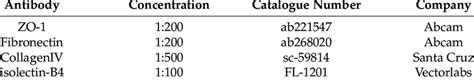 Primary antibodies used in immunofluorescence assays. | Download Scientific Diagram