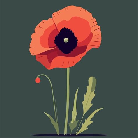 Premium Vector One Red Poppy Flower