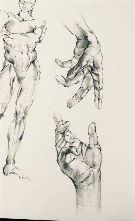 Anatomy sketches on Behance