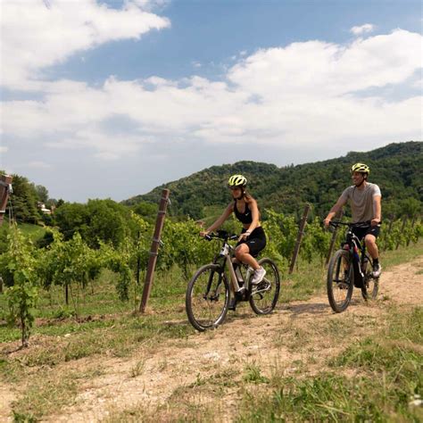 Serena Wines Adventure Wine Tour In Veneto Winetourism