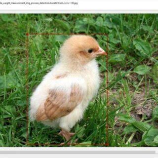 labelled data   dataset  scientific