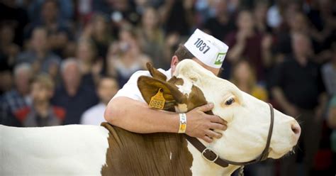 Le Programme De La Foire Comtoise Jeudi 9 Mai 2024 Macommune Info