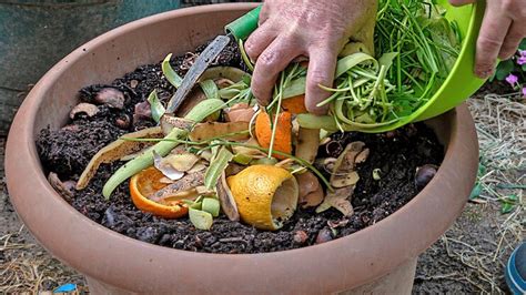 5 Common Food Scraps That Make Great Manure For Your Garden