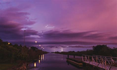 premium photo night scene  florida everglades canal