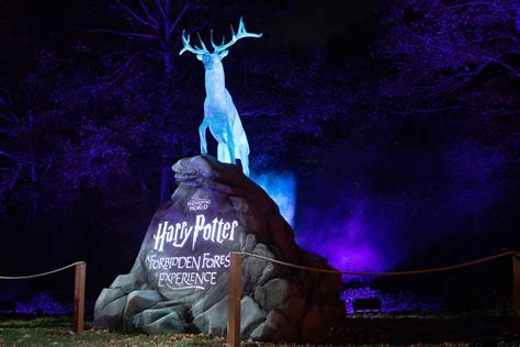 Harry Potter™: A Forbidden Forest Is Coming To Melbourne