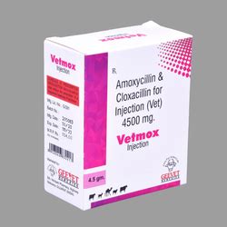 Liquid Amoxicillin With Cloxacillin For Injection At Best Price In