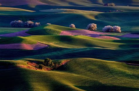 Sunrise on Palouse Hills, Eastern Washington : pics