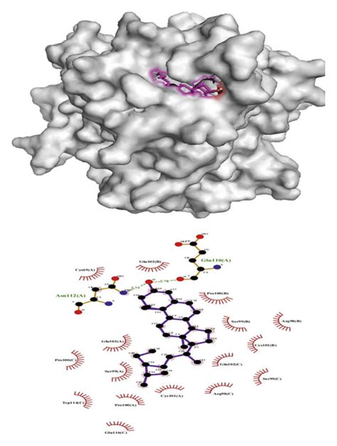 Diagram Of The Molecular Docking Patterns Between The Components And Download Scientific