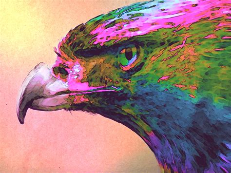 Art Eagle on Behance