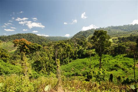 Gunung Leuser National Park Travel Guide