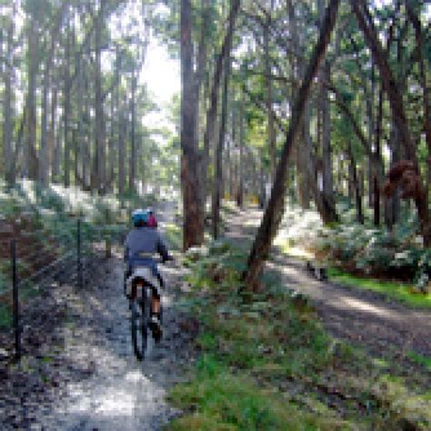 Ballarat Bird Park Circuit Buninyong Walks