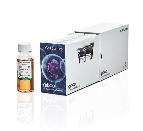 Fetal Bovine Serum Qualified Heat Inactivated United States