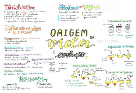 Resumo sobre Origem da vida e evolução Biologia Estuda ENEM