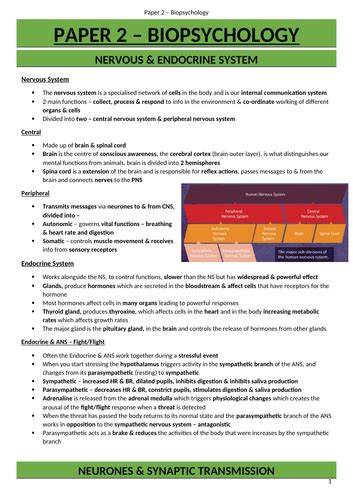 Aqa A Level Psychology Biopsychology Revision Guide Teaching Resources