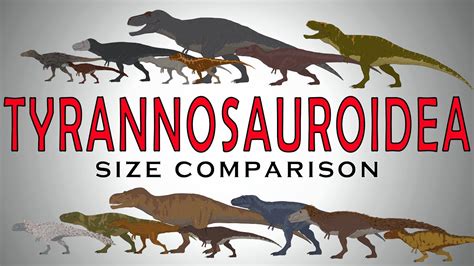 Dinosaurs Size Comparison Tyrannosaurids T Rex Albertosaurus Gorgosaurus Daspletosaurus