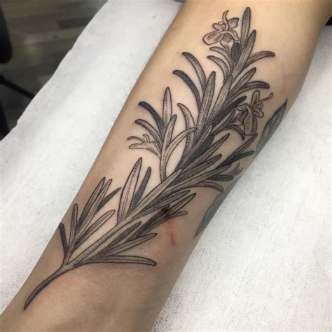 Rosemary tattoo - Freehand - Black work | Botanical tattoo, Rosemary ...