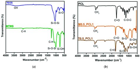 Ftir Atr Spectra Of A Teos And Mtms Aerogel And B Pcl And