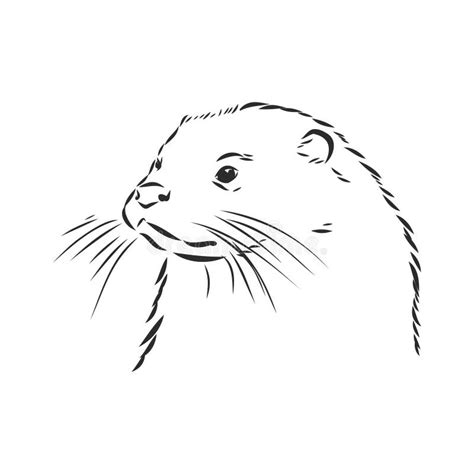 Sea Otter Clipart Black And White