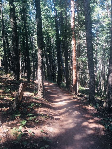 Apex And Enchanted Forest Trail Loop Colorado Alltrails