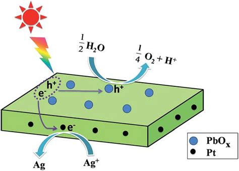 Proposed mechanism of photocatalytic water splitting O 2 evolution over ...