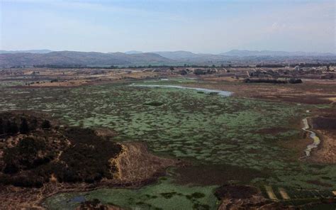 Humedal De Valsequillo Una Gran Planta Tratadora Natural De Aguas