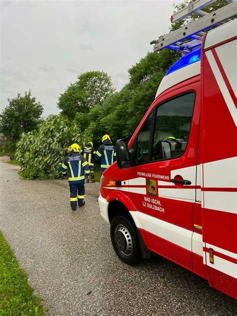 Feuerwehreinsatz in Bad Ischl Baum stürzte auf Grazer Straße