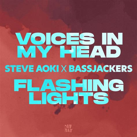 Steve Aoki And Bassjackers Voices In My Head Flashing Lights Lyrics And Tracklist Genius