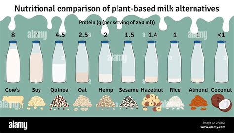 Set Of Bottles With Plant Based Milk Vegan Milk Protein Infographic