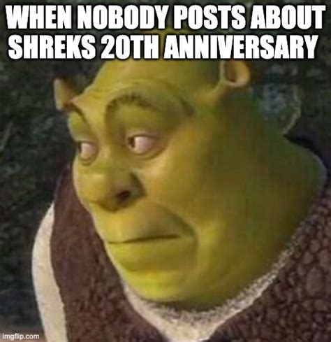 Shrek is now 20 years old! : r/memes