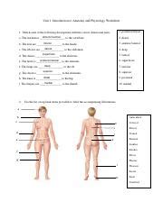 BIO 141 4A3A Human Anatomy And Physiology I Lab Assignment Unit 1