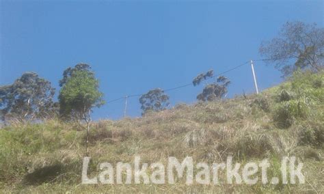 Land For Sale In Nuwara Eliya Lankamarket