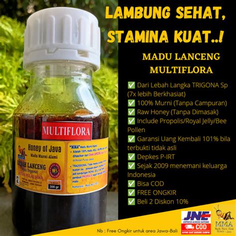 Jual Honey Of Java Madu Trigona Lambung Sehat Maag Gerd