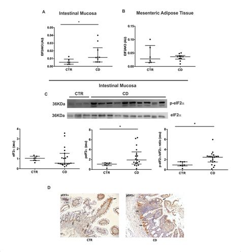 Activation Of Perk Eif Pathway In The Intestinal Mucosa And In The