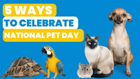 5 Ways to Celebrate National Pet Day