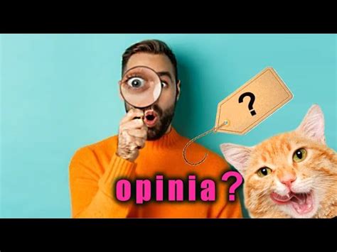 Casada Pl Opinia Youtube