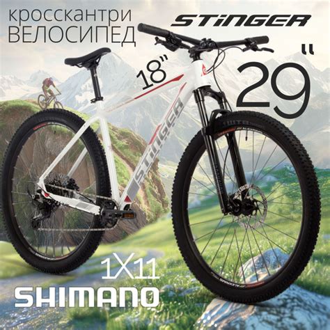 Велосипед горный взрослый 29" STINGER RELOAD EVO скоростной для мужчин ...