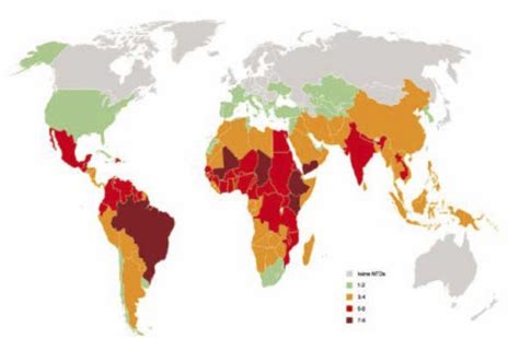 Bnitm Tropical Diseases Are Neglected Again Bnitm