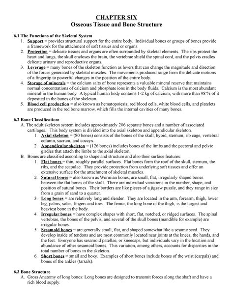 Ch 6 Chapter 6 Notes Chapter Six Osseous Tissue And Bone Structure