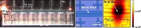 Heterogeneous Integration Of Solid State Quantum Systems With A Foundry