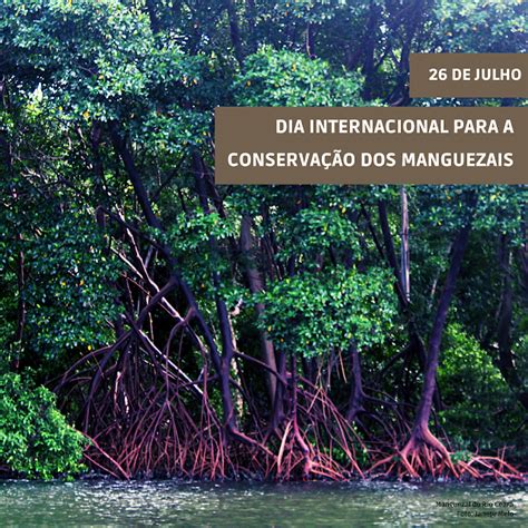 Observat Rio Socioambiental De Julho Dia Internacional Para A