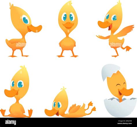 Pieds De Canard Banque D Images Vectorielles Alamy