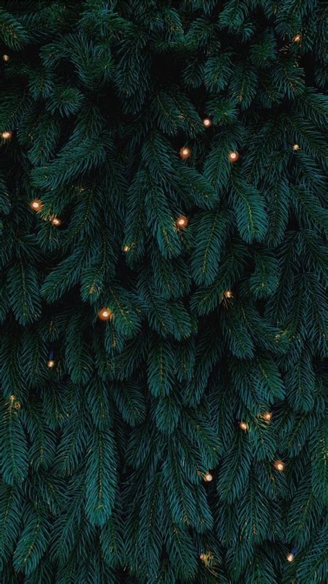 Dark Christmas Forest Wallpapers Wallpaper Cave Tree Wallpaper