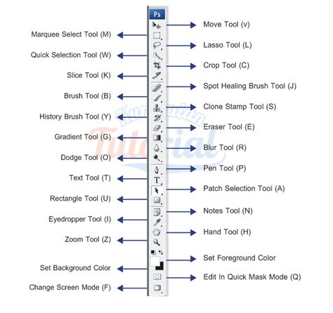 Fungsi Fungsi Tool Pada Photoshop Kumpulan Tutorial